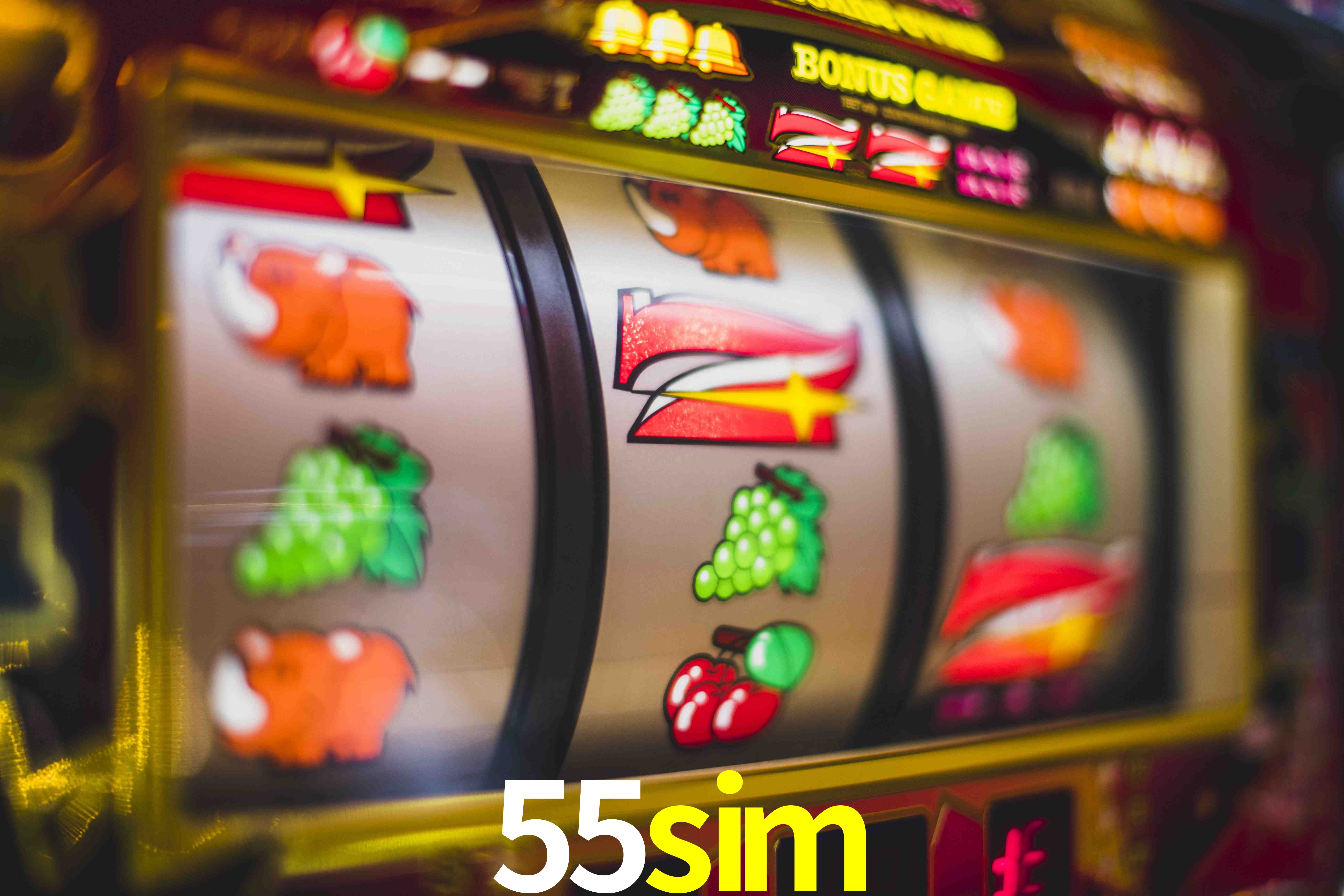 Experiência VIP 55sim